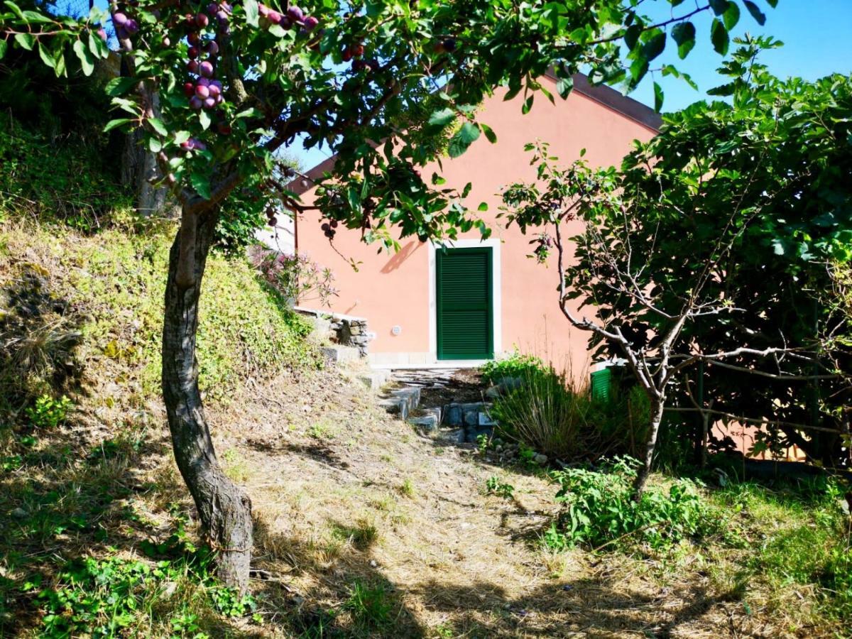 Agriturismo Lavalleggia Tovo San Giacomo Exterior foto